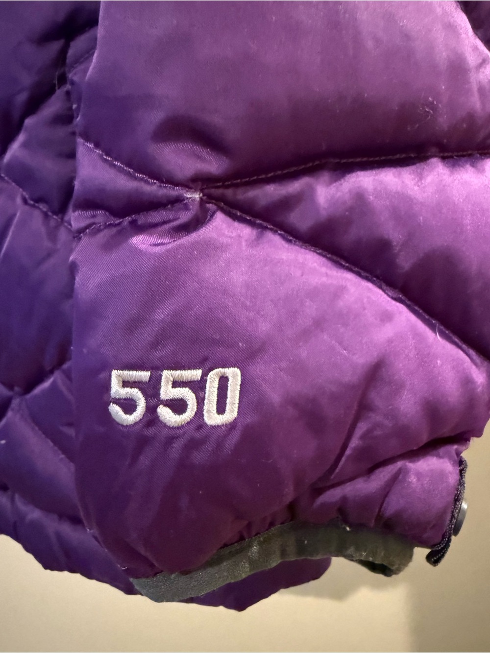 The North Face Kids Purple 550 Puffer Jacket